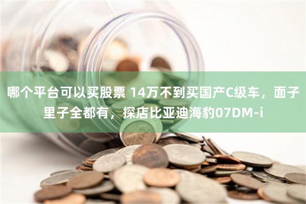 哪个平台可以买股票 14万不到买国产C级车，面子里子全都有，探店比亚迪海豹07DM-i