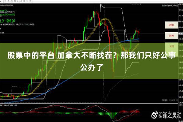 股票中的平台 加拿大不断找茬？那我们只好公事公办了