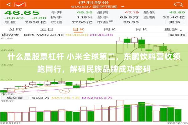 什么是股票杠杆 小米全球第二，东鹏饮料营收领跑同行，解码民族品牌成功密码