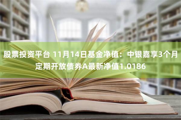 股票投资平台 11月14日基金净值：中银嘉享3个月定期开放债券A最新净值1.0186