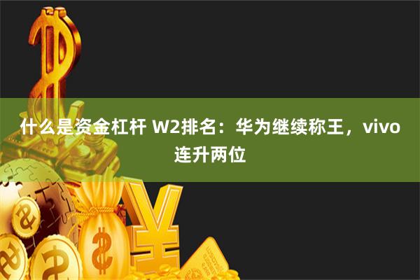 什么是资金杠杆 W2排名：华为继续称王，vivo连升两位