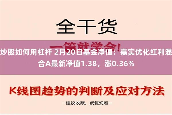 炒股如何用杠杆 2月20日基金净值：嘉实优化红利混合A最新净值1.38，涨0.36%